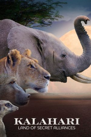 Kalahari: Land of Secret Alliances (2022) poster