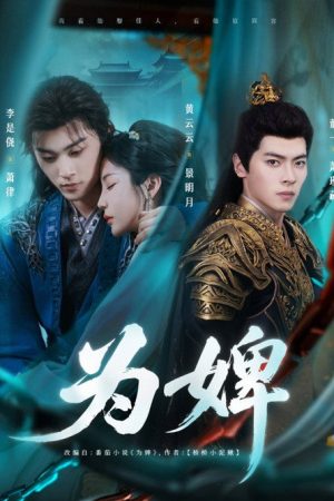 为婢 (2025) poster