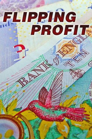Flipping Profit (2018) poster