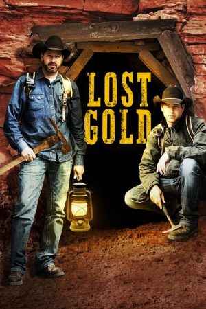 Lost Gold (2017) poster