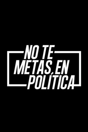 No te metas en política (2016) poster