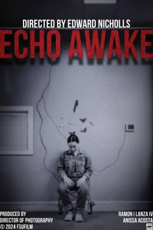 Echo Awake (2024) poster