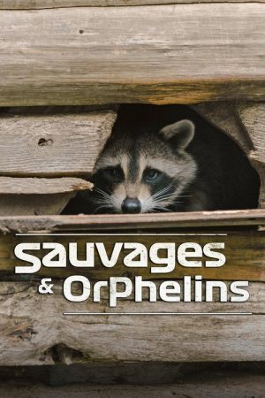 Sauvages et orphelins (2020) poster