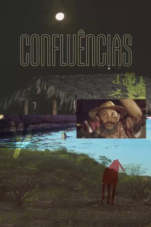 Confluences (2024) poster