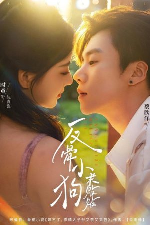 Fan Gu Xiao Gou Qiu Tie Tie (2025) poster