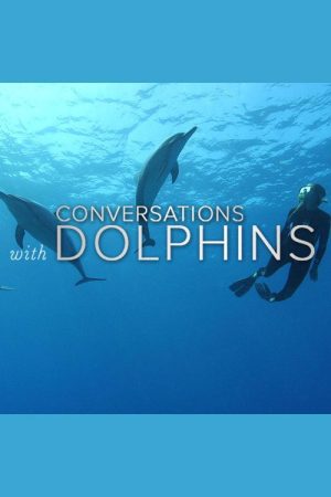 Conversations with Dolphins (2016) poster