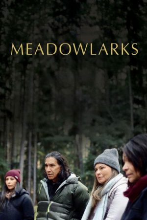 Meadowlarks (2025) poster