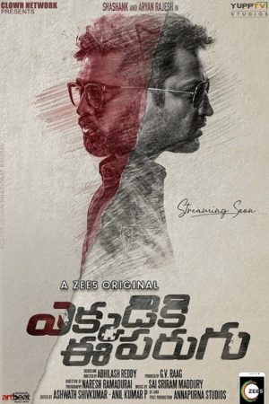 Ekkadiki Ee Parugu (2019) poster
