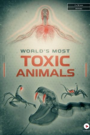 World’s Most Toxic Animals (2021) poster