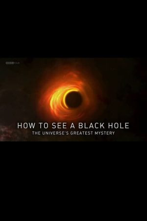 How to See a Black Hole: The Universe’s Greatest Mystery (2019) poster