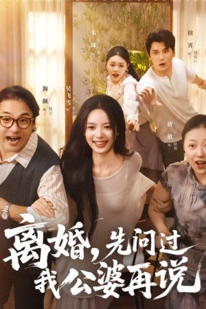 离婚，先问过我公婆再说 (2025) poster