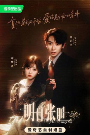 明目张胆 (2026) poster