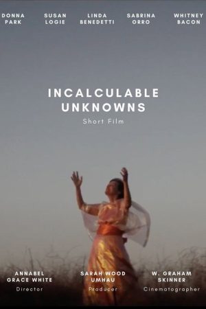 Incalculable Unknowns (2021) poster