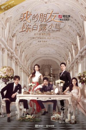 我的朋友陈白露小姐 (2016) poster