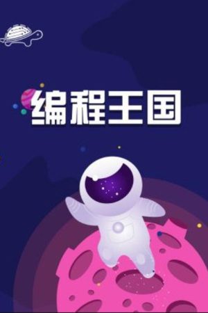 编程王国 (2020) poster