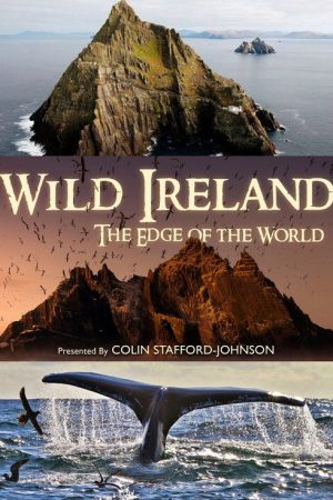 Wild Ireland: The Edge of the World (2017) poster