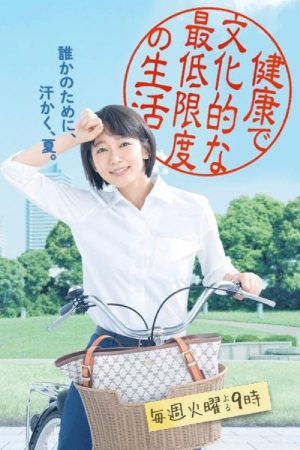 Caseworker’s Diary: Constitutional Rights, The Minimum Standard of Wholesome and Cultured Living (2018) poster