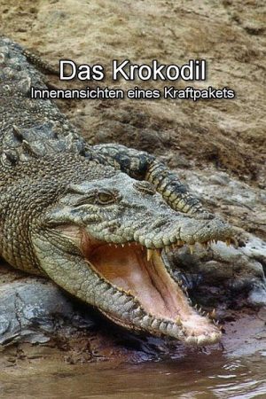 Das Krokodil – Innenansichten eines Kraftpakets (2017) poster