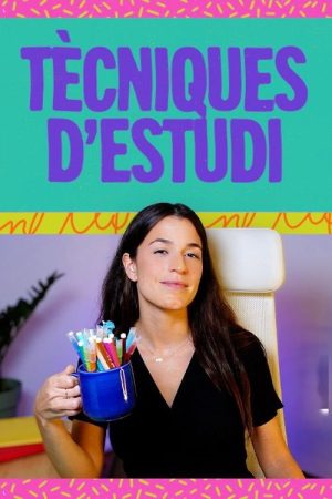 Tècniques d’estudi (2025) poster