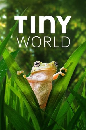 Tiny World (2020) poster