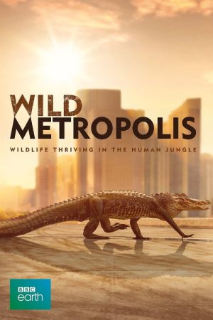 Wild Metropolis (2019) poster