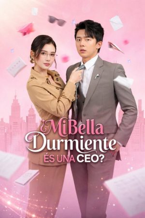 My Ceo Wife The Sleeping Beauty (2026) poster