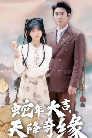 蛇年大吉之天降奇缘 (2025) poster