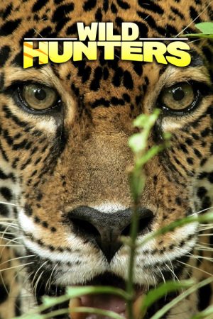 Wild Hunters (2019) poster