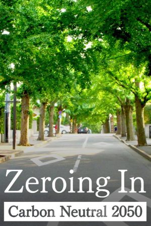 Zeroing In: Carbon Neutral 2050 (2020) poster