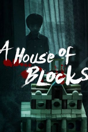 A House of Blocks (2017) poster