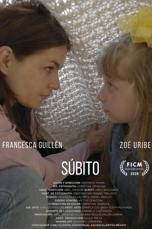 Sudden (2020) poster