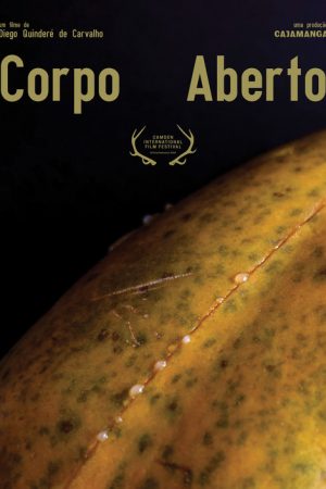 Corpo Aberto (2019) poster