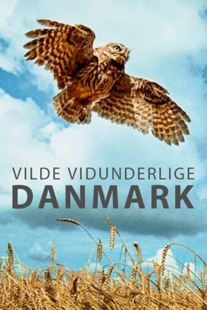 Wild and Wonderful Denmark (2020) poster
