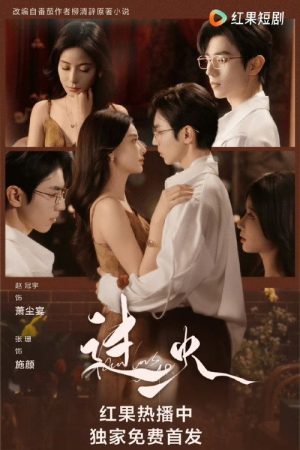 过火 (2025) poster