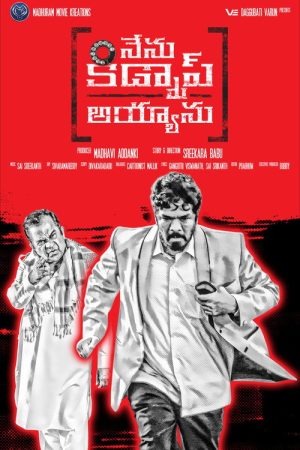 Nenu Kidnap Ayyaanu (2017) poster