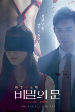 Secret Door (2025) poster