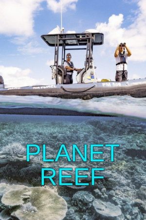 Planet Reef (2022) poster