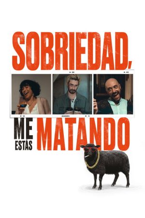 Dear Sobriety: You’re Killing Me (2026) poster
