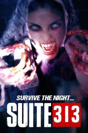 Suite 313 (2017) poster