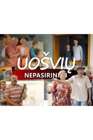 Uošvių nepasirinksi (2019) poster
