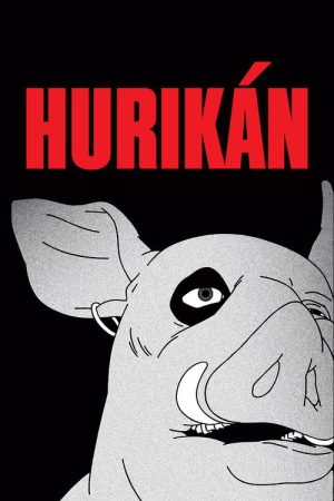Hurikán (2024) poster