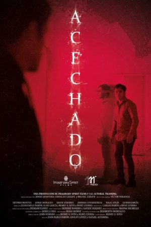 Followed (2022) poster