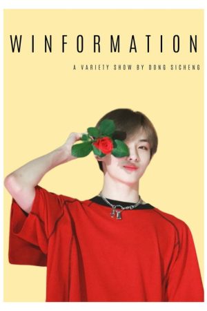 winformation (2020) poster