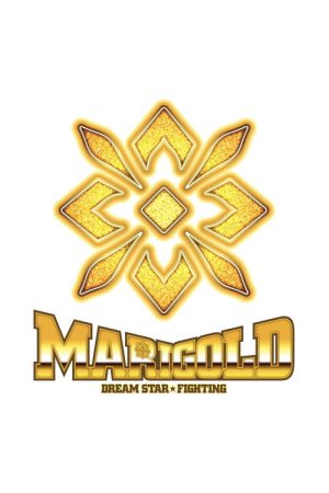 Dream Star★Fighting Marigold (2024) poster