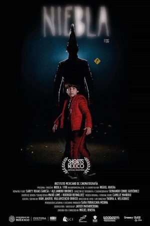 Fog (2021) poster