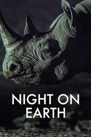 Night on Earth (2020) poster