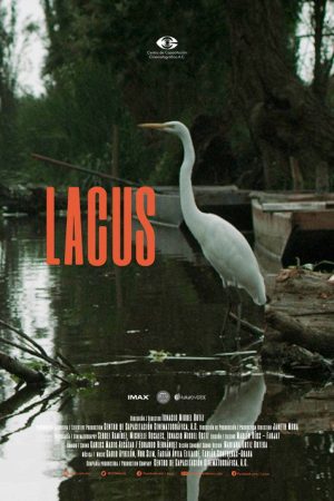 Lacus (2018) poster