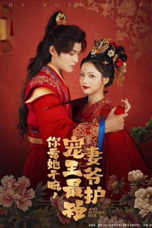 你惹她干嘛，宠妻王爷最护短 (2025) poster