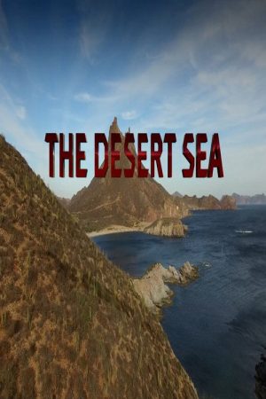 The Desert Sea (2016) poster