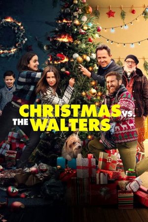 Christmas vs The Walters (2021) poster